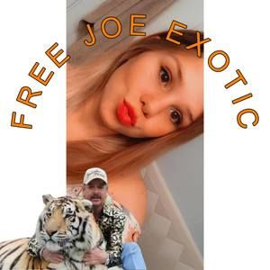 Meet your Posher, Kara